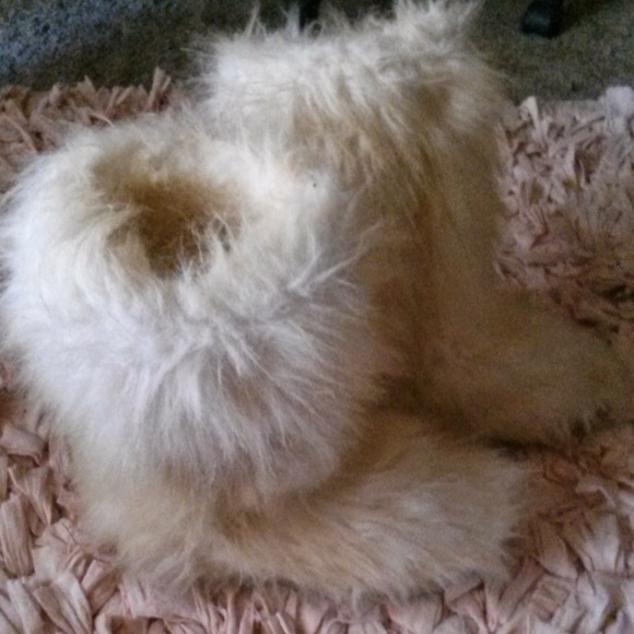 Meet your Posher, Deborah - Picture 7 of 8